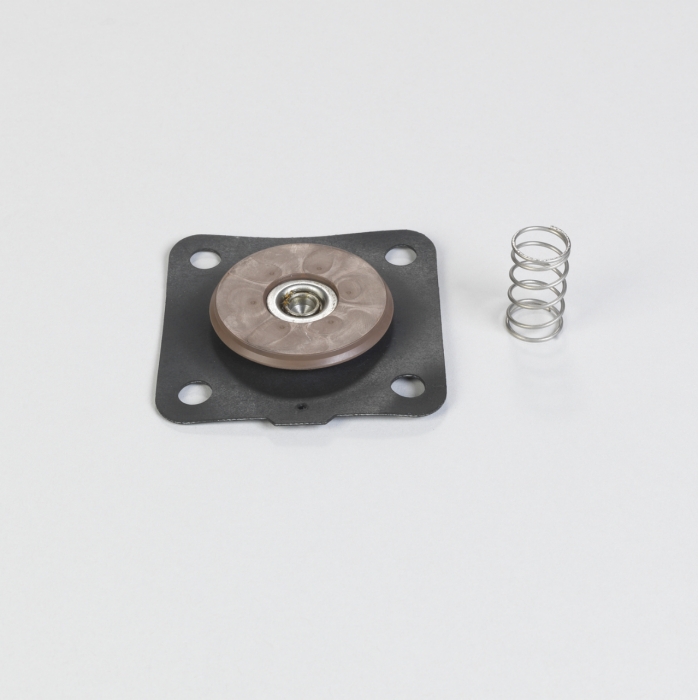 REPAIR KIT FOR 25 MM (1") DIAPHRAGM VALVE CONTAINS VITON WITH 4 HOLES AND SPRING