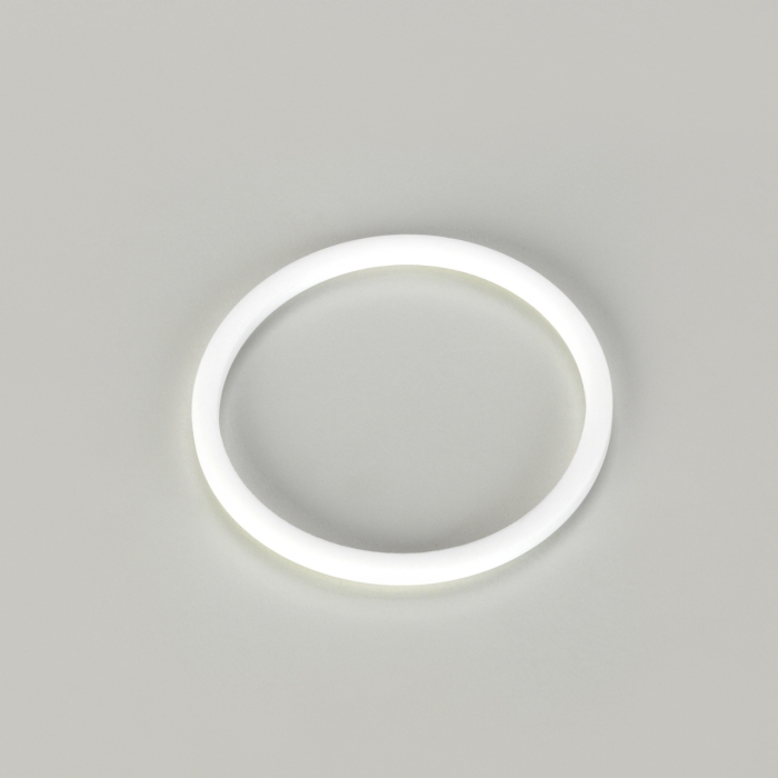 MILKPIPE GASKET, NW 100, TEFLON