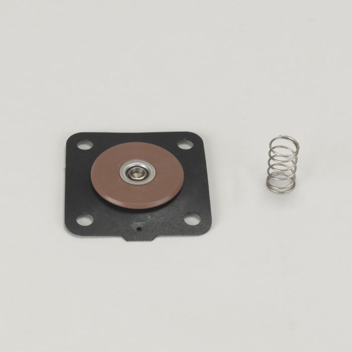 REPAIR KIT FOR 25 MM (1") DIAPHRAGM VALVE CONTAINS VITON WITH 4 HOLES AND SPRING