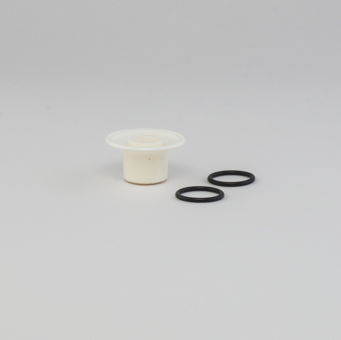 25 MM (1") AIR VALVE REPAIR KIT