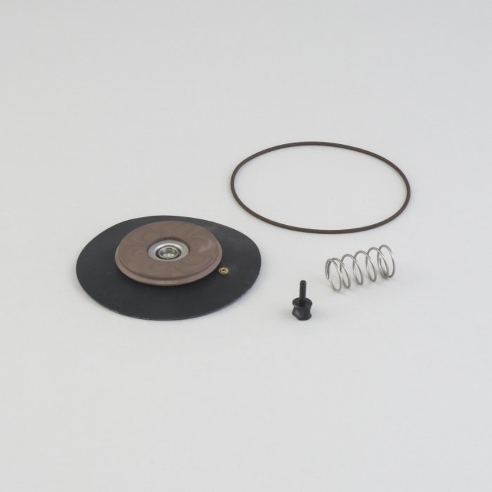 25 MM (1") DIAPHRAGM VALVE REPAIR KIT