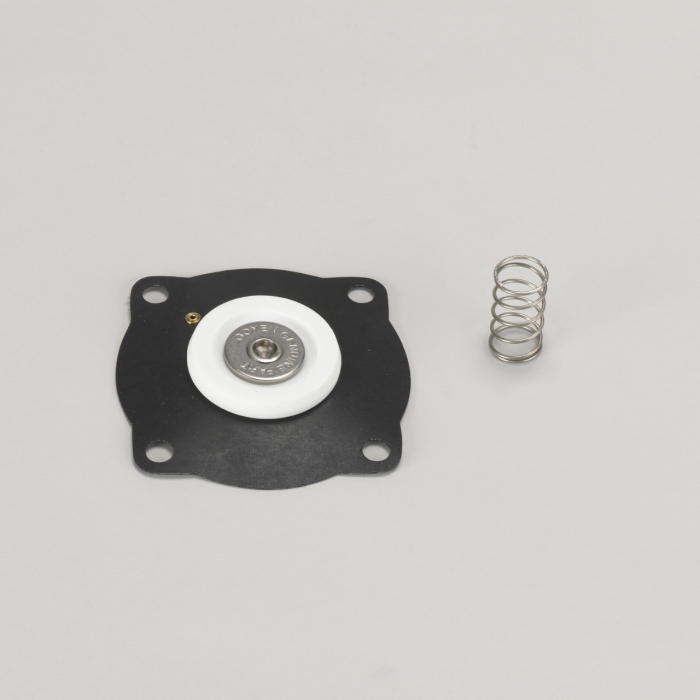 REPAIR KIT FOR 25 MM (1") DIAPHRAGM VALVE CONTAINS VITON WITH 4 HOLES AND SPRING