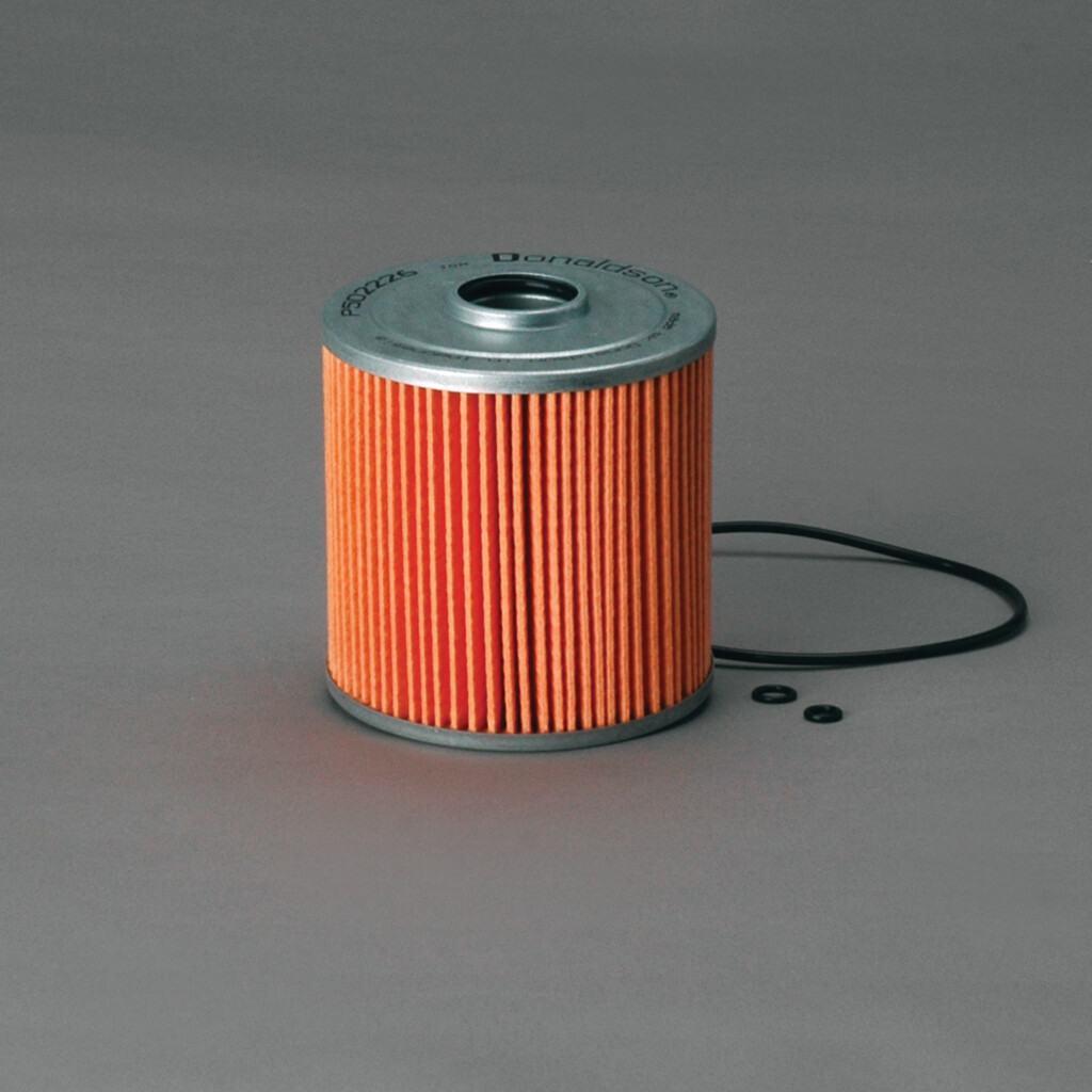Filtro per carburante)