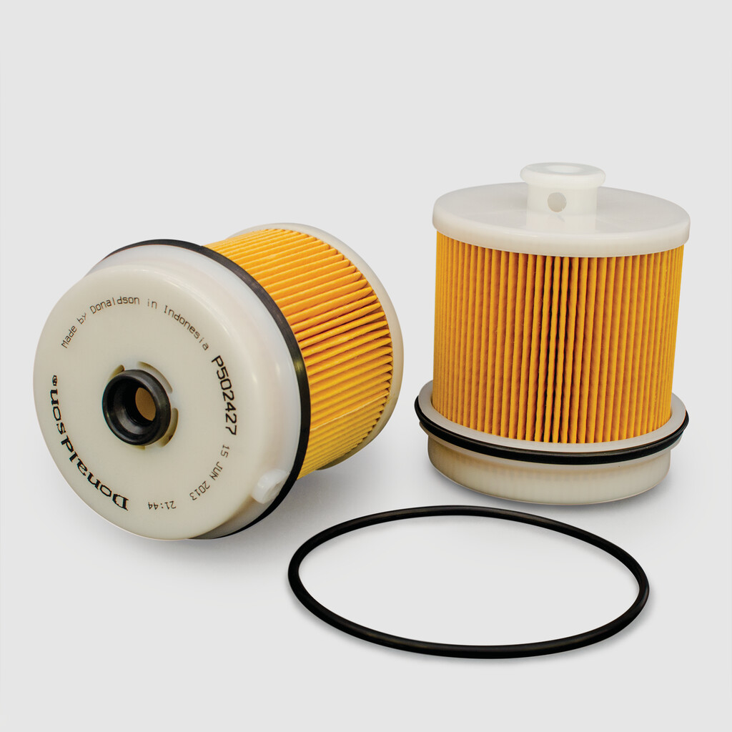 Filtro per carburante)
