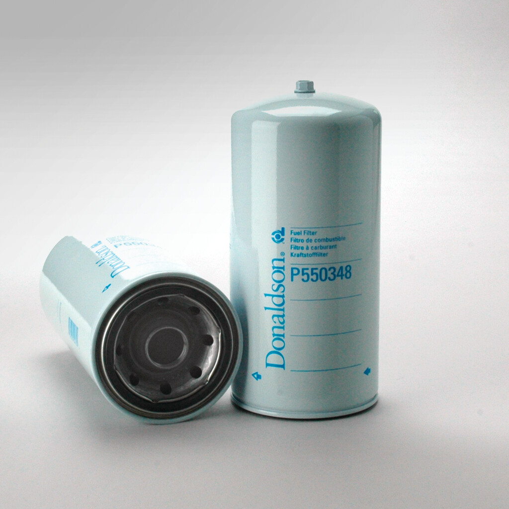 Filtro per carburante)