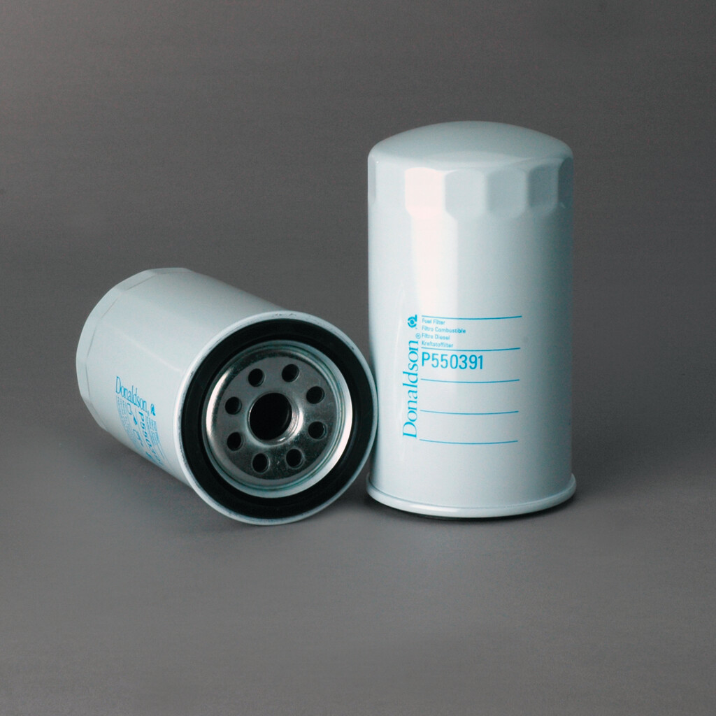 Filtro per carburante)
