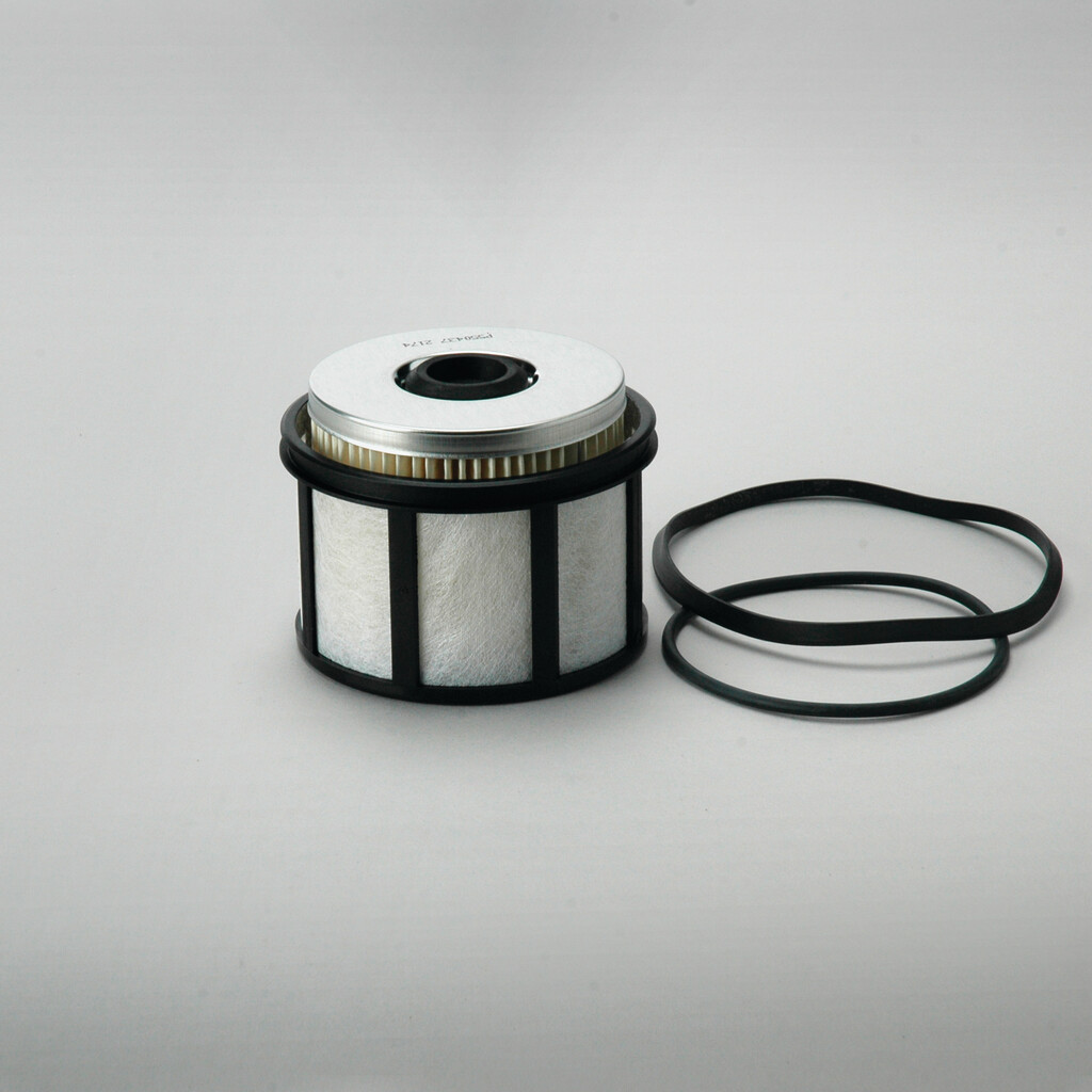Filtro per carburante)