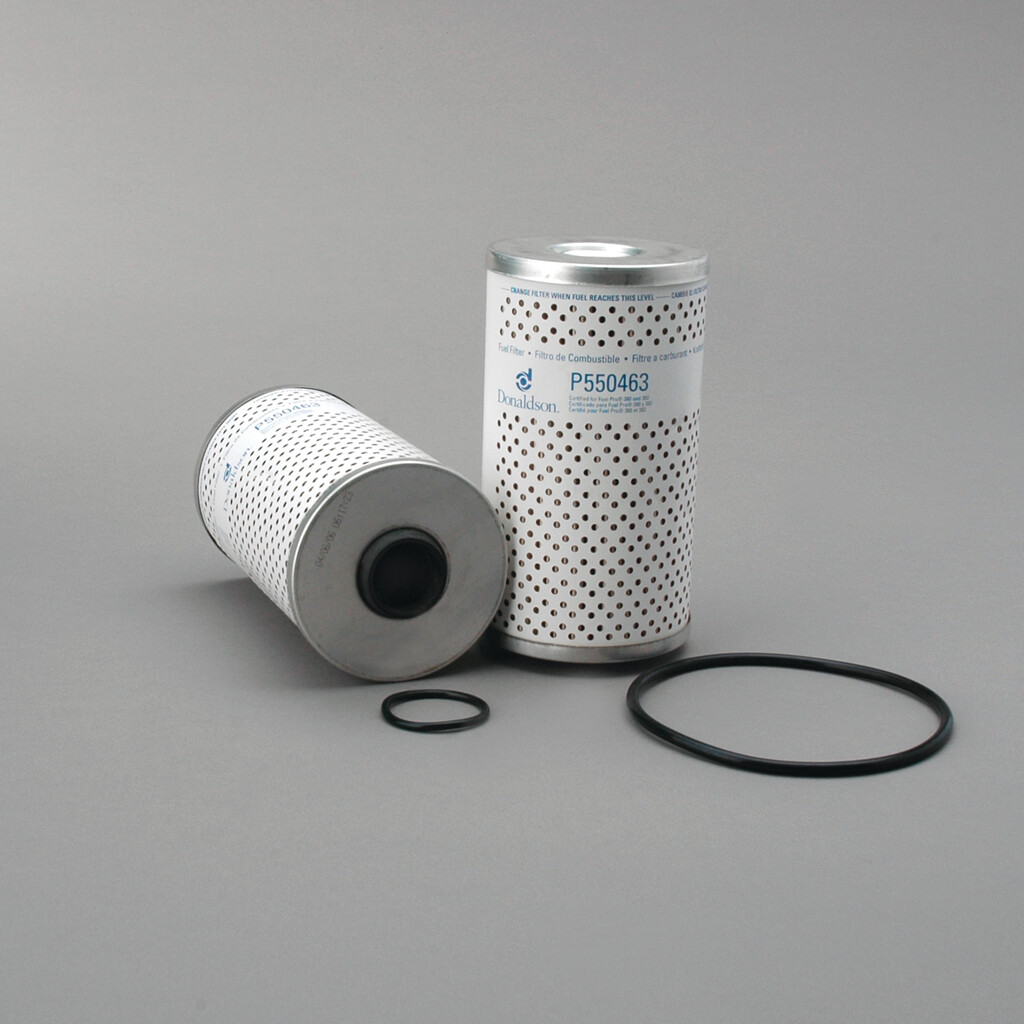 Filtro per carburante)