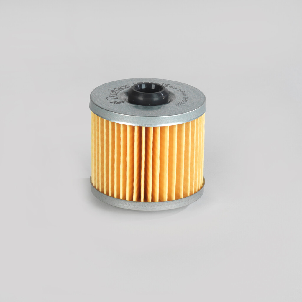 Filtro per carburante)
