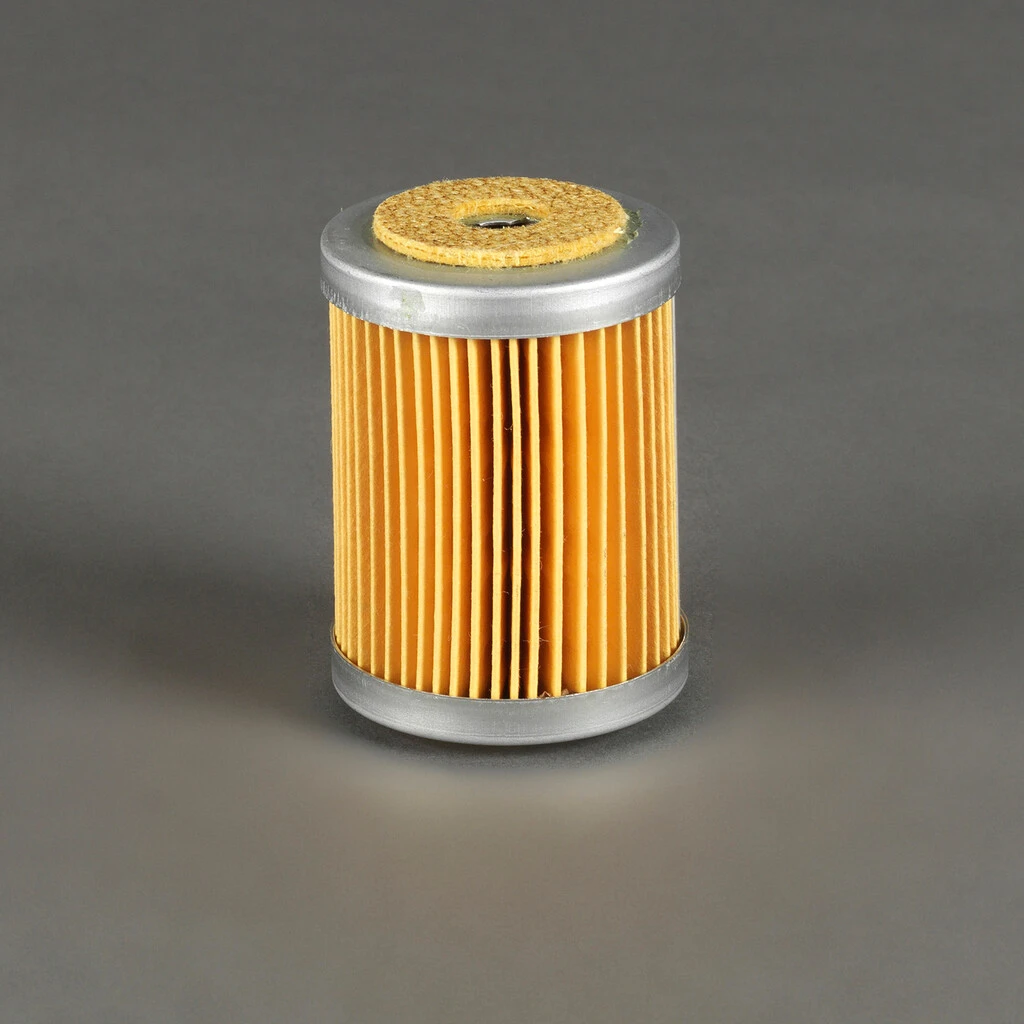 Filtro per carburante)