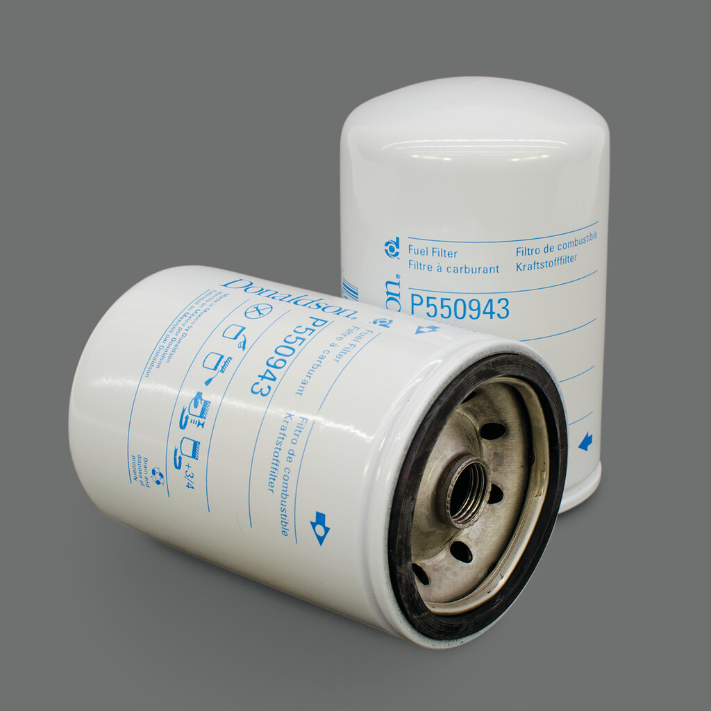 Filtro per carburante)
