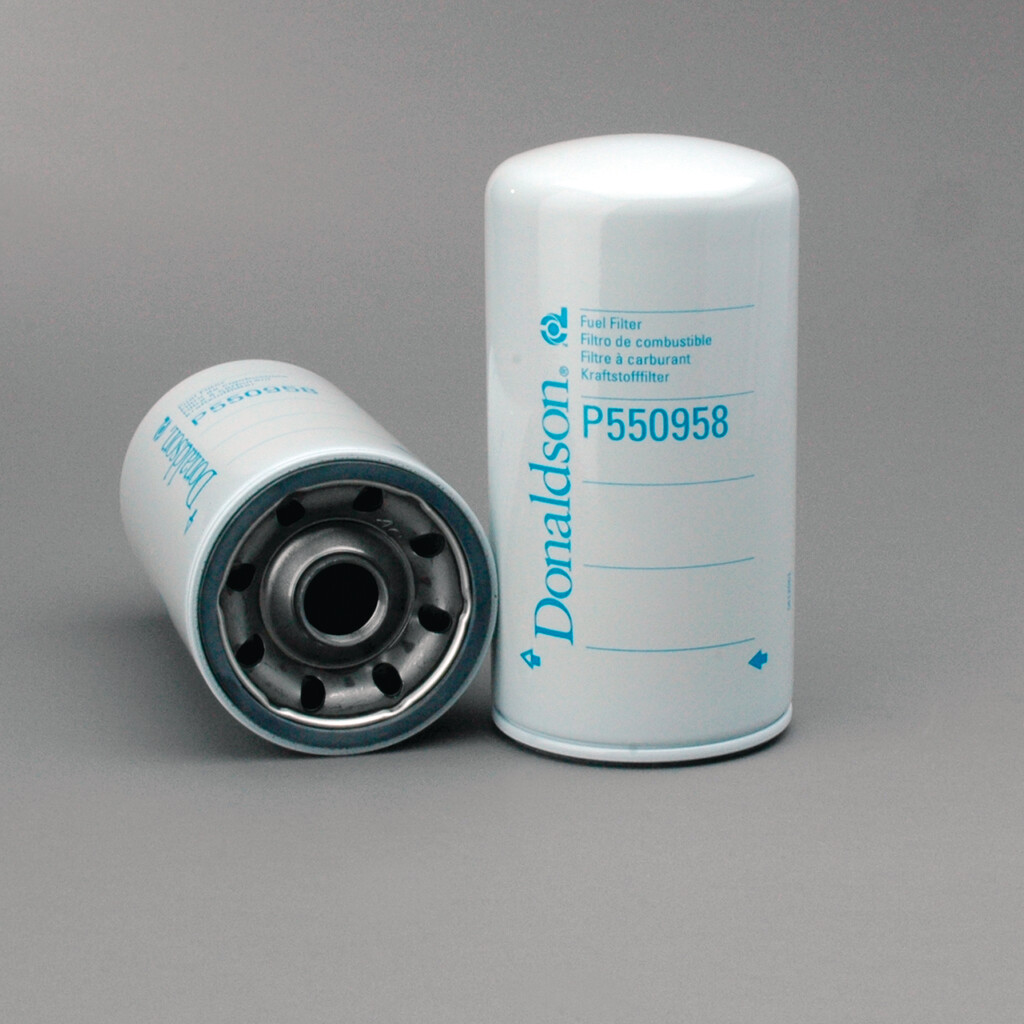 Filtro per carburante)
