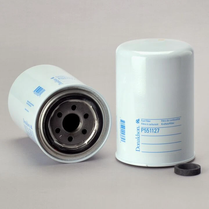 Filtro per carburante)