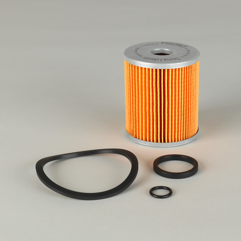 Filtro per carburante)