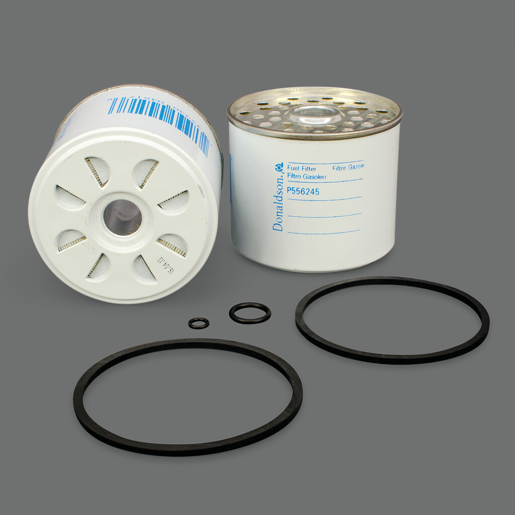 Filtro per carburante)