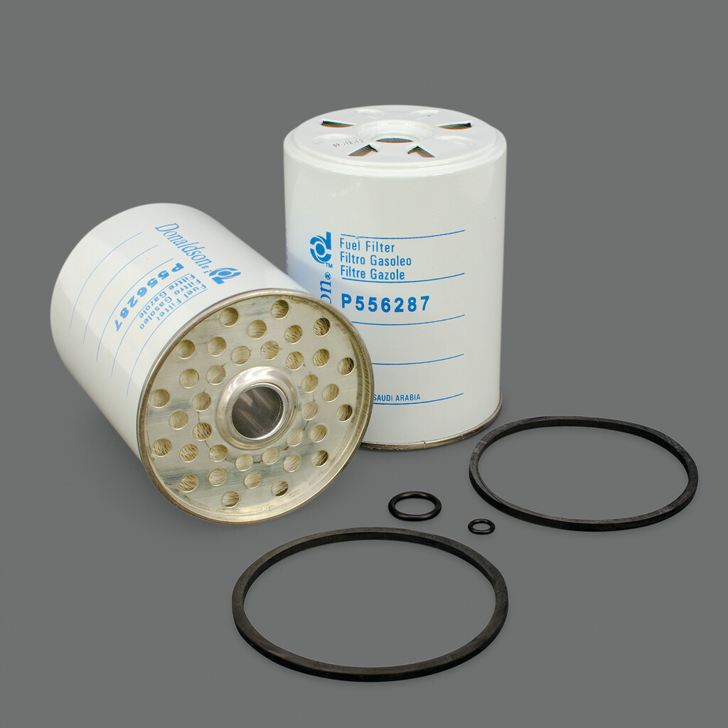 Filtro per carburante)