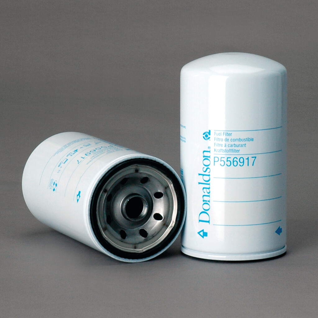 Filtro per carburante)