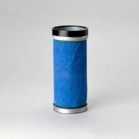 Filtro di sicurezza)