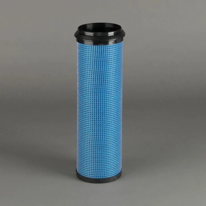 Filtro di sicurezza)