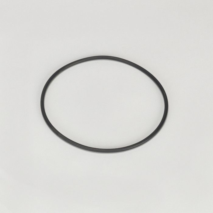 Guarnizione)