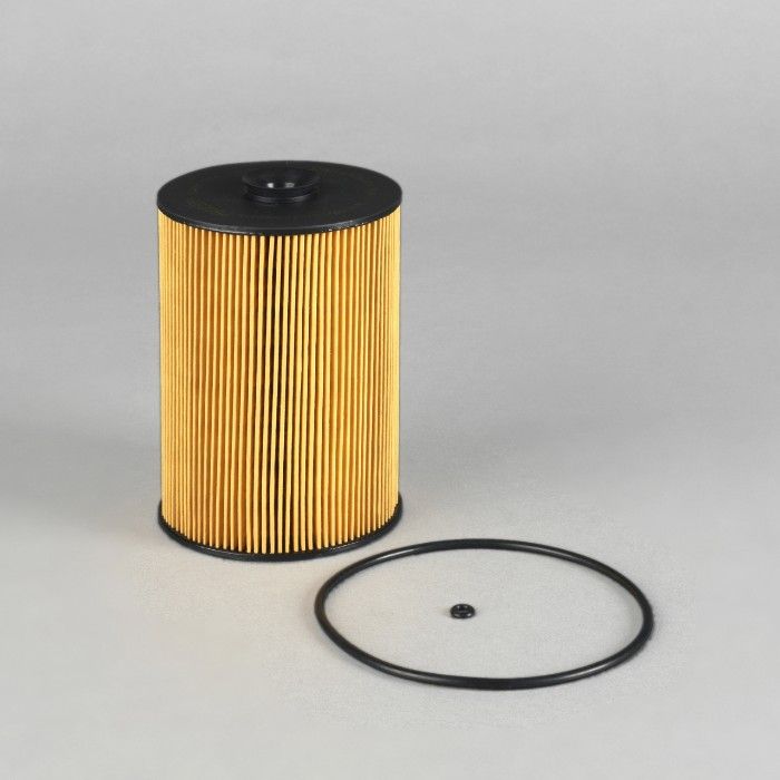 Filtro per carburante)
