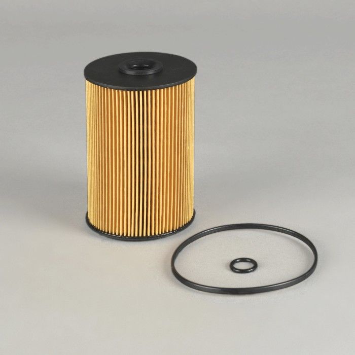 Filtro per carburante)