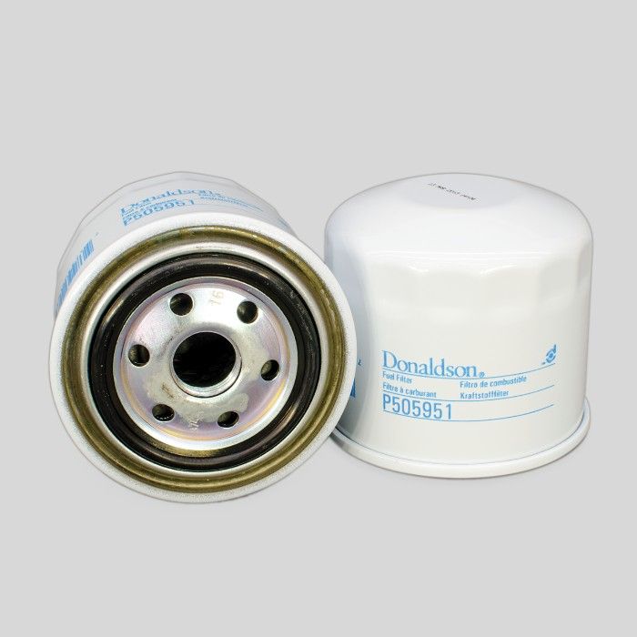 Filtro per carburante)