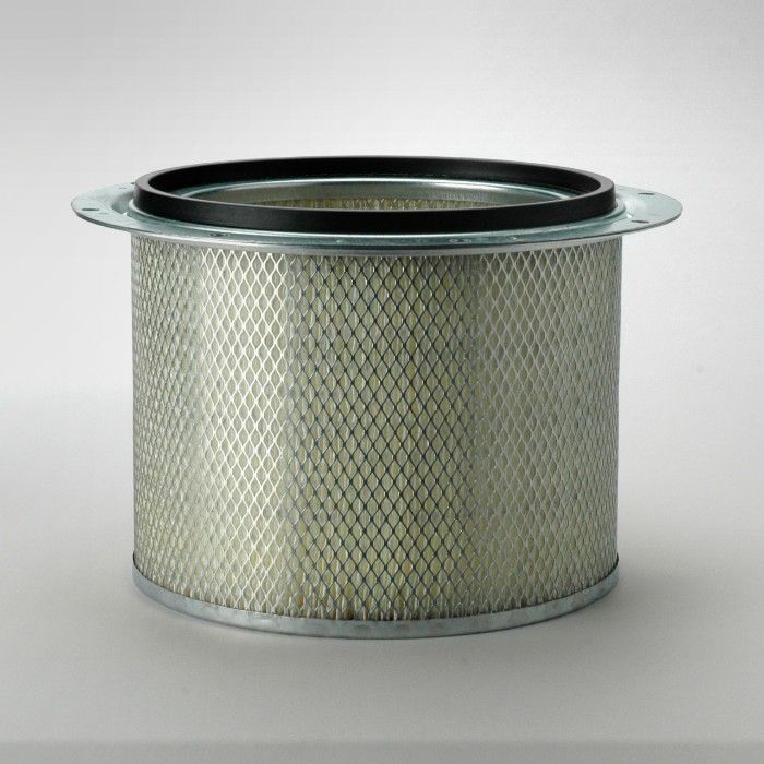 Filtro di sicurezza)