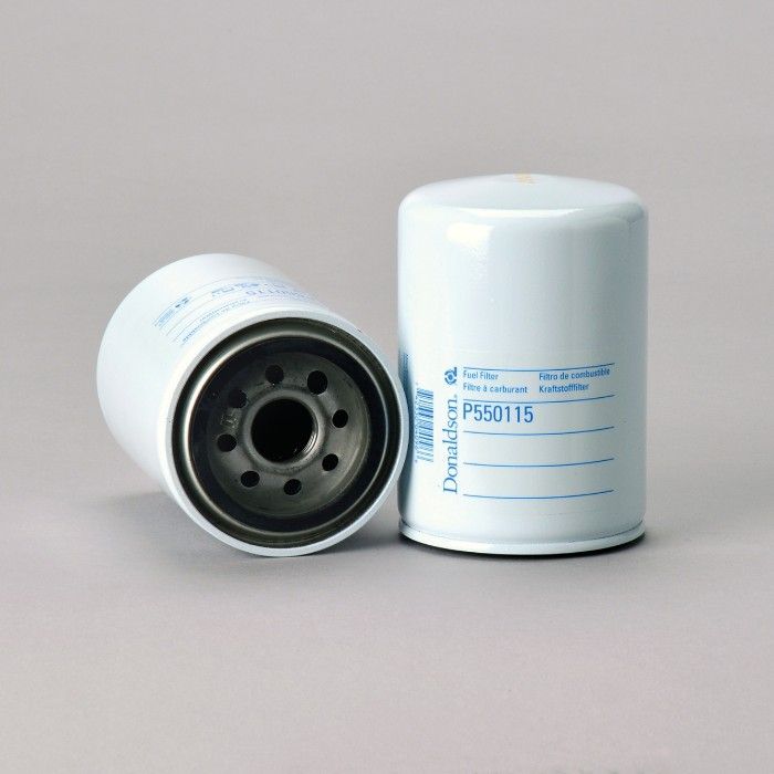 Filtro per carburante)