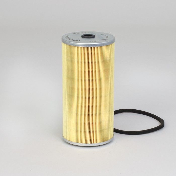 Filtro per carburante)