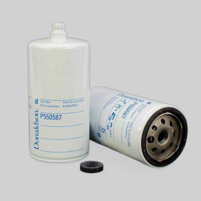 Filtro per carburante)