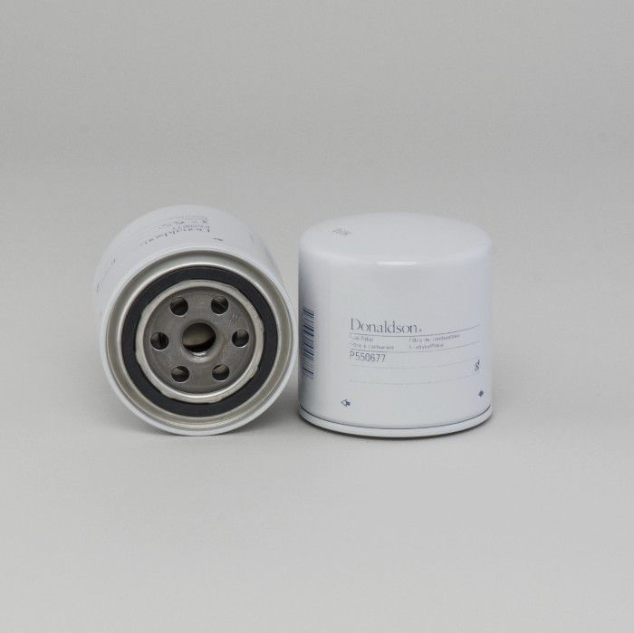 Filtro per carburante)