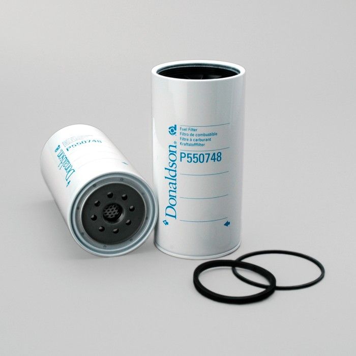 Filtro per carburante)