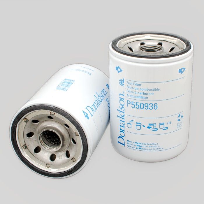 Filtro per carburante)