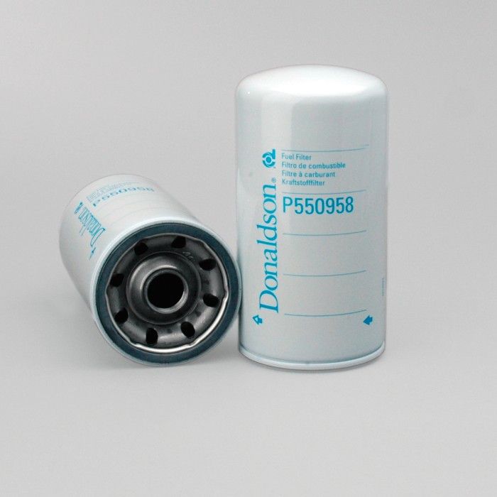Filtro per carburante)