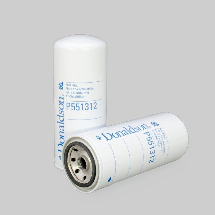 Filtro per carburante)