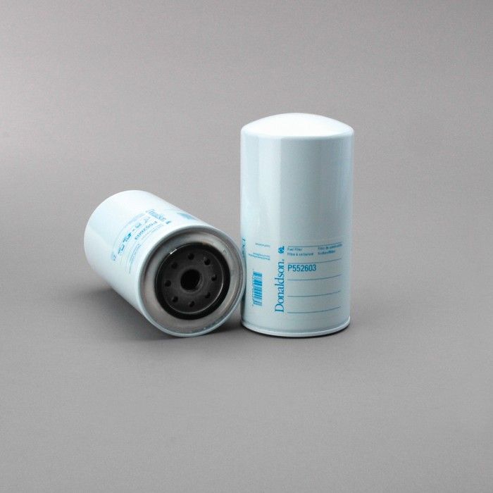 Filtro per carburante)