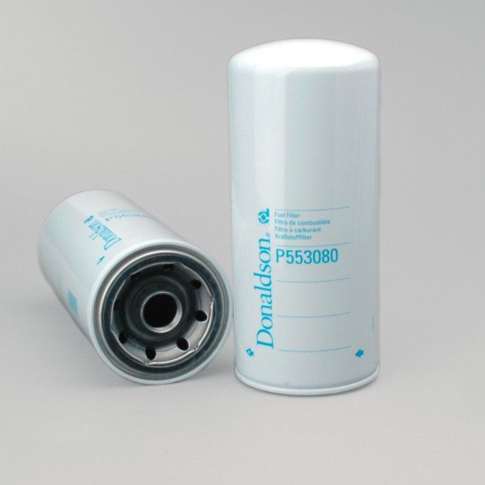 Filtro per carburante)