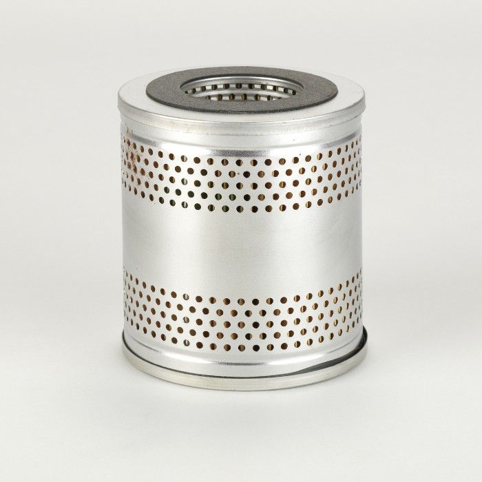 P556004
