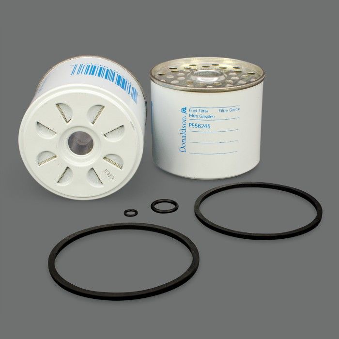 Filtro per carburante)