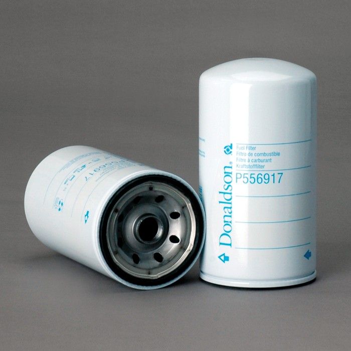 Filtro per carburante)