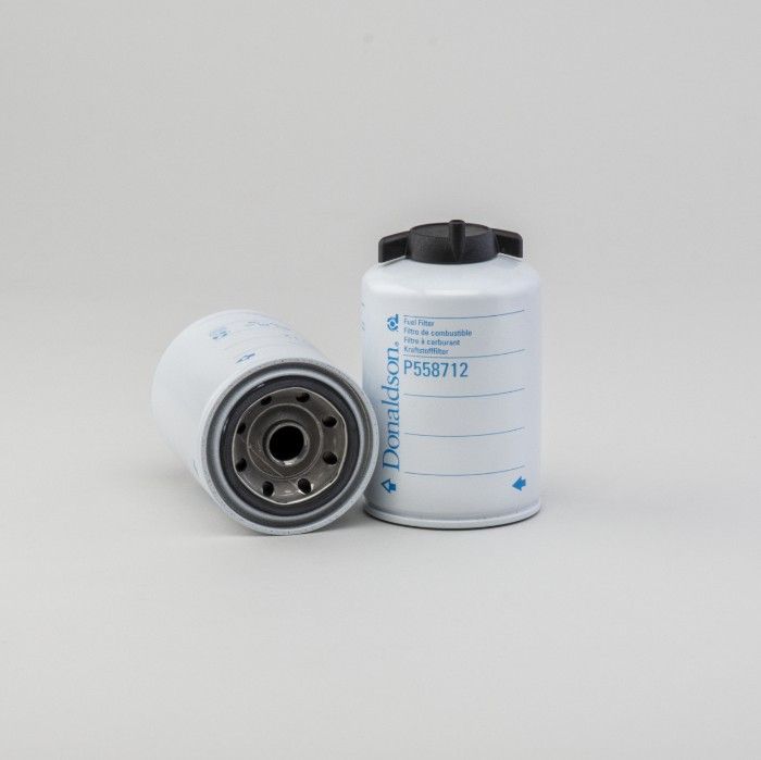 Filtro per carburante)