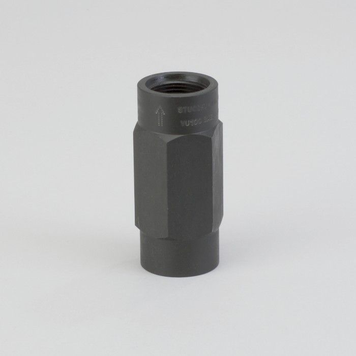 P563307