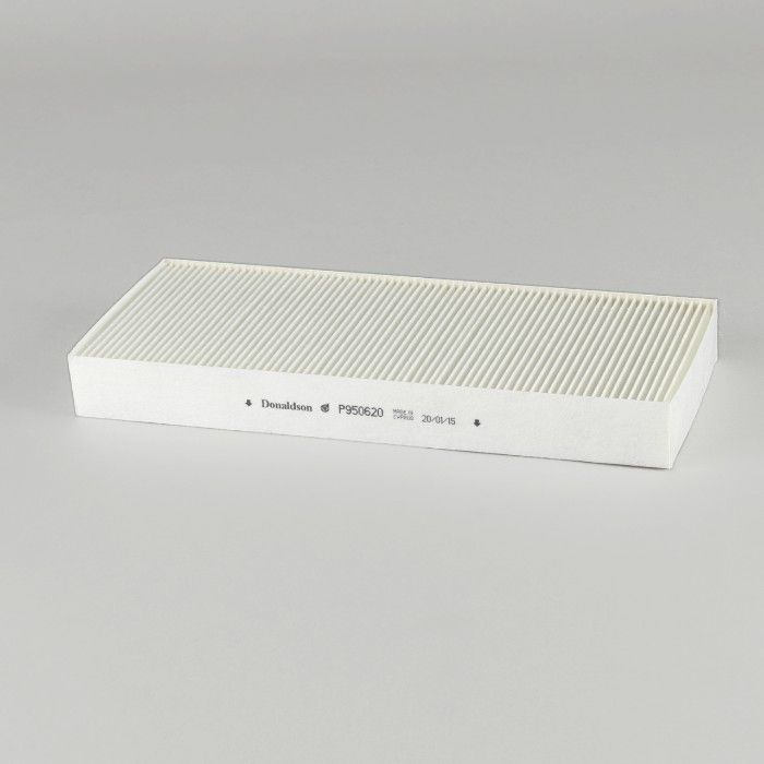 P950620